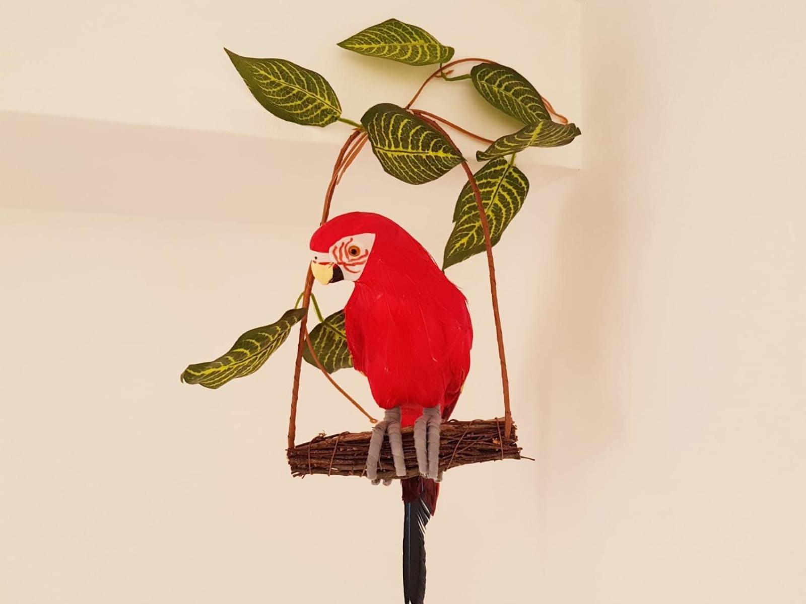 Apartament Parrot's House